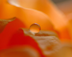 ８月の輝き・雫