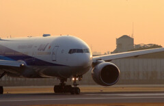 麗月の朝✈Boeing777-200