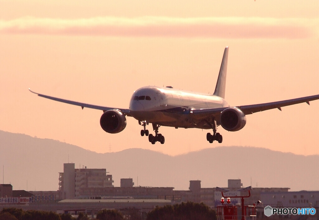 January Dream✈787-9