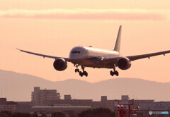 January Dream✈787-9
