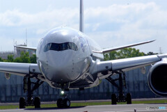 SKY LANDの朝 Ⅷ✈JA15XJ