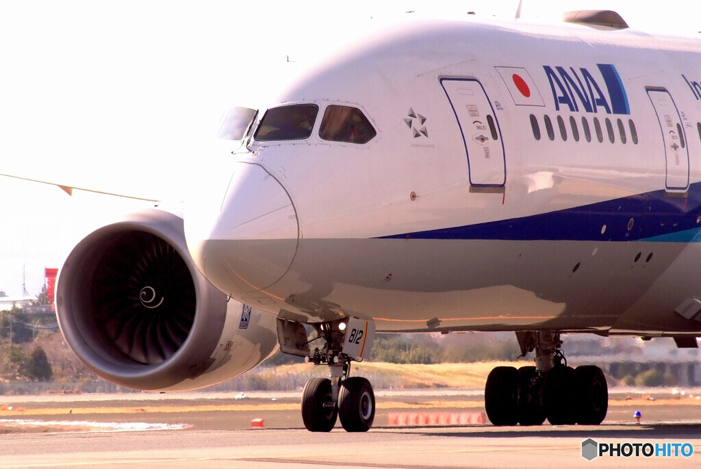 Afternoon of brillianceⅥ✈ANA Boeing787-8