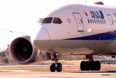 Afternoon of brillianceⅥ✈ANA Boeing787-8