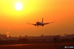 煌めきの世界へ✈Boeing738