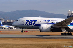 Boeing 787 Dreamliner2016