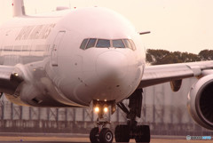 Gift of Spring・Boeing 777