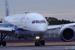 Beautiful MemoriesⅩ✈ANA Dreamliner