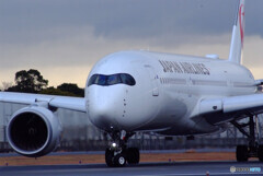 会いにいこう✈JA14XJ