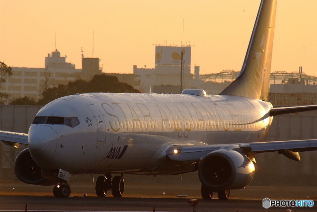 Rising Sun・737-800