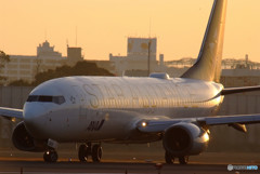 Rising Sun・737-800