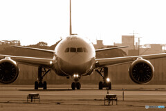 静寂の時間✈✈Dreamliner