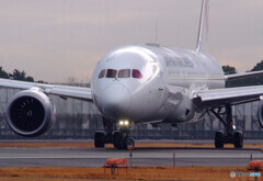 Blissful TimeⅡ・787Dreamliner