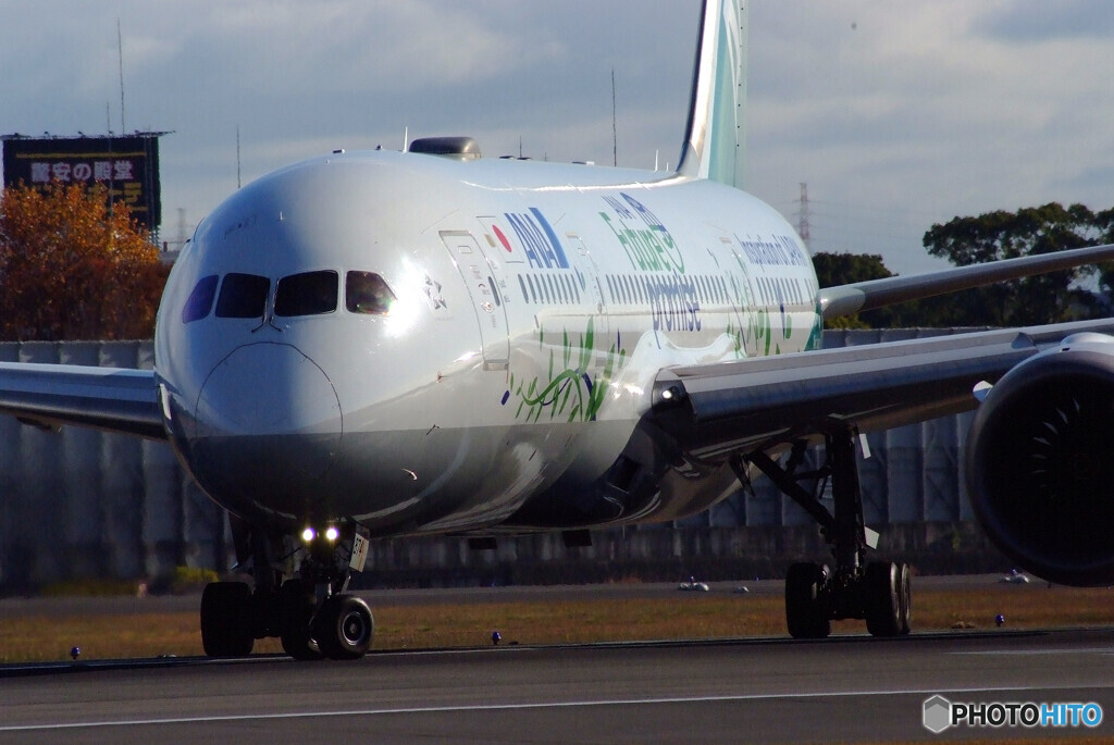 November MorningⅧ✈JA874A