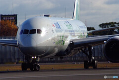 November MorningⅧ✈JA874A