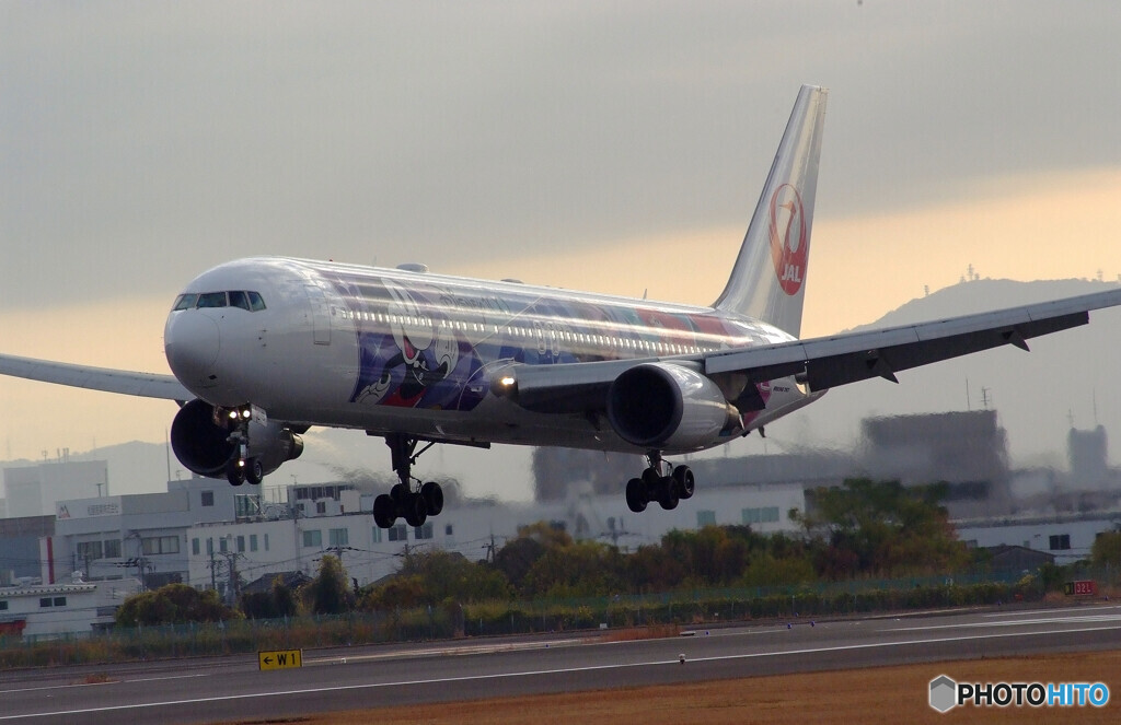 December morning✈JA615J