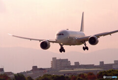 癒しの時間Ⅷ✈2020夏