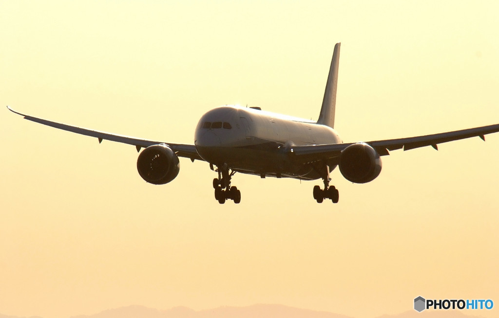 Messenger from the south