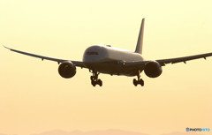 Messenger from the south