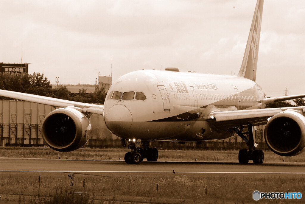 俺の旅路✈Boeing 787-8 Dreamliner