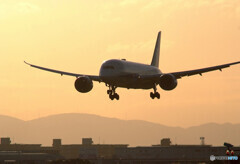 The Sun Also Rises・787