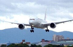 おかえり✈Boeing 787-8 Dreamliner