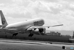 男たちの挽歌・夏