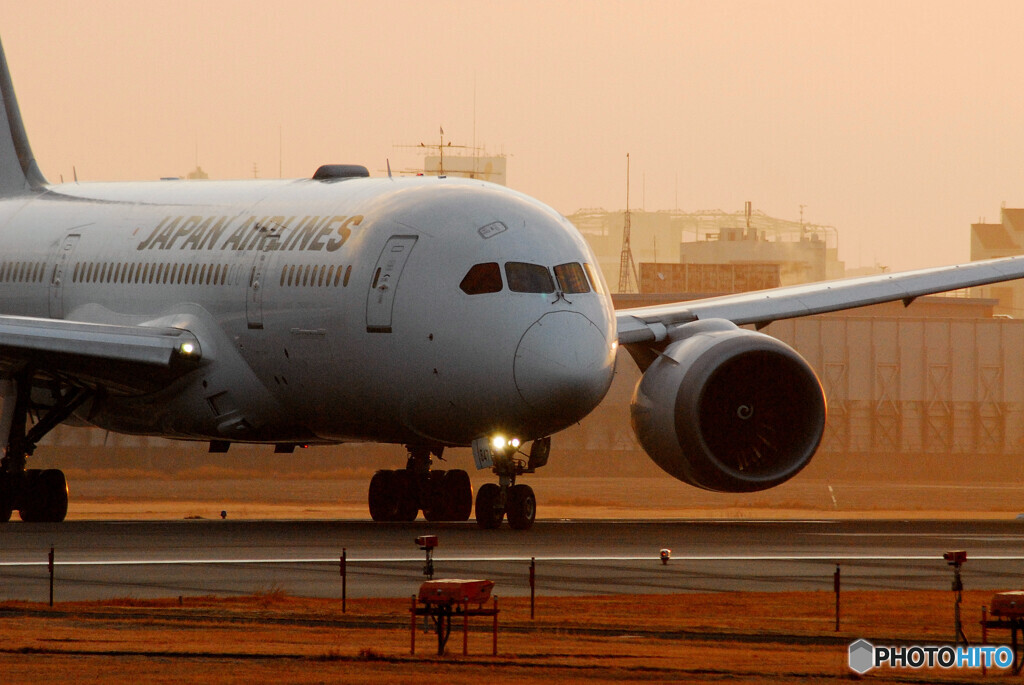 朝焼けの旅路へⅤ✈787Dreamliner 