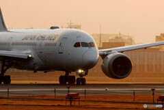 朝焼けの旅路へⅤ✈787Dreamliner 