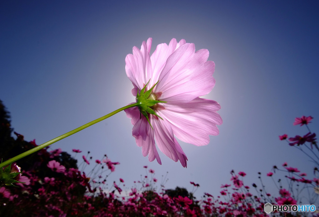 輝きを忘れずに