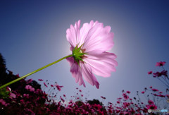 輝きを忘れずに