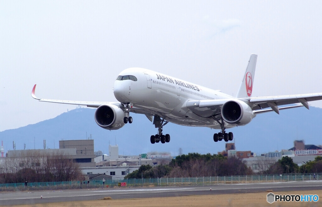 ITMの空から✈A350-900