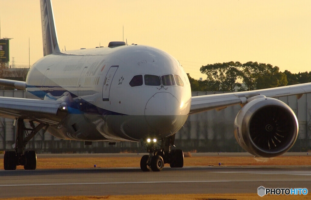 俺の旅路✈Boeing 787-8 Dreamliner 