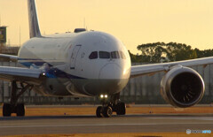 俺の旅路✈Boeing 787-8 Dreamliner 