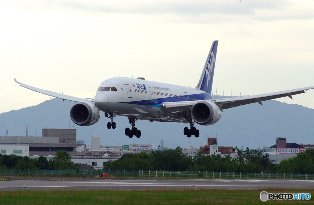 皐月の朝✈Boeing787-8