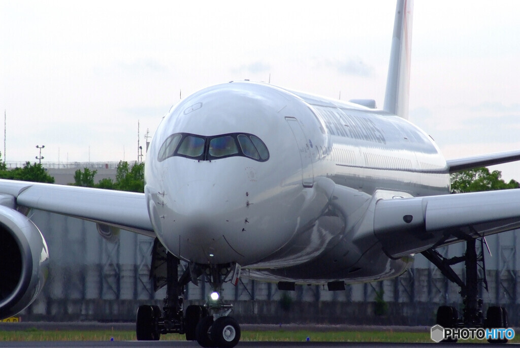 Delusional tripⅢGW✈JA14XJ