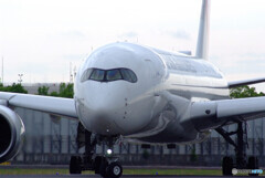 Delusional tripⅢGW✈JA14XJ