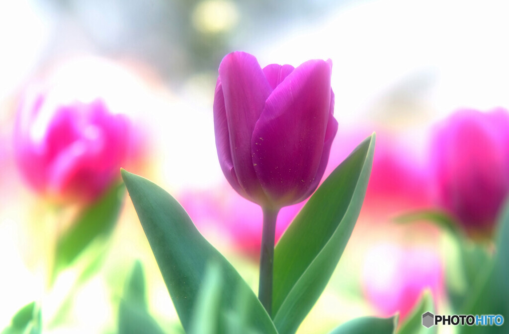 Eternity・未来