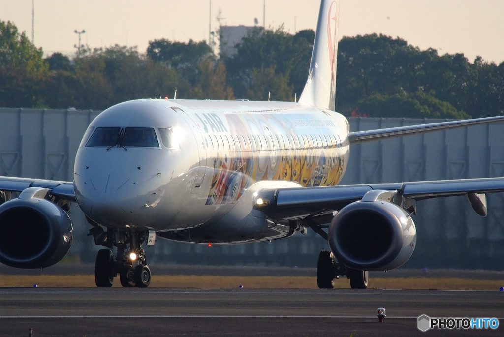 Morning glow・Minion