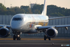 Morning glow・Minion