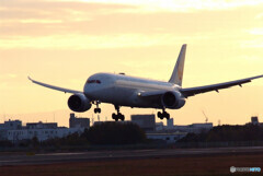 Gift for you✈Dreamliner787