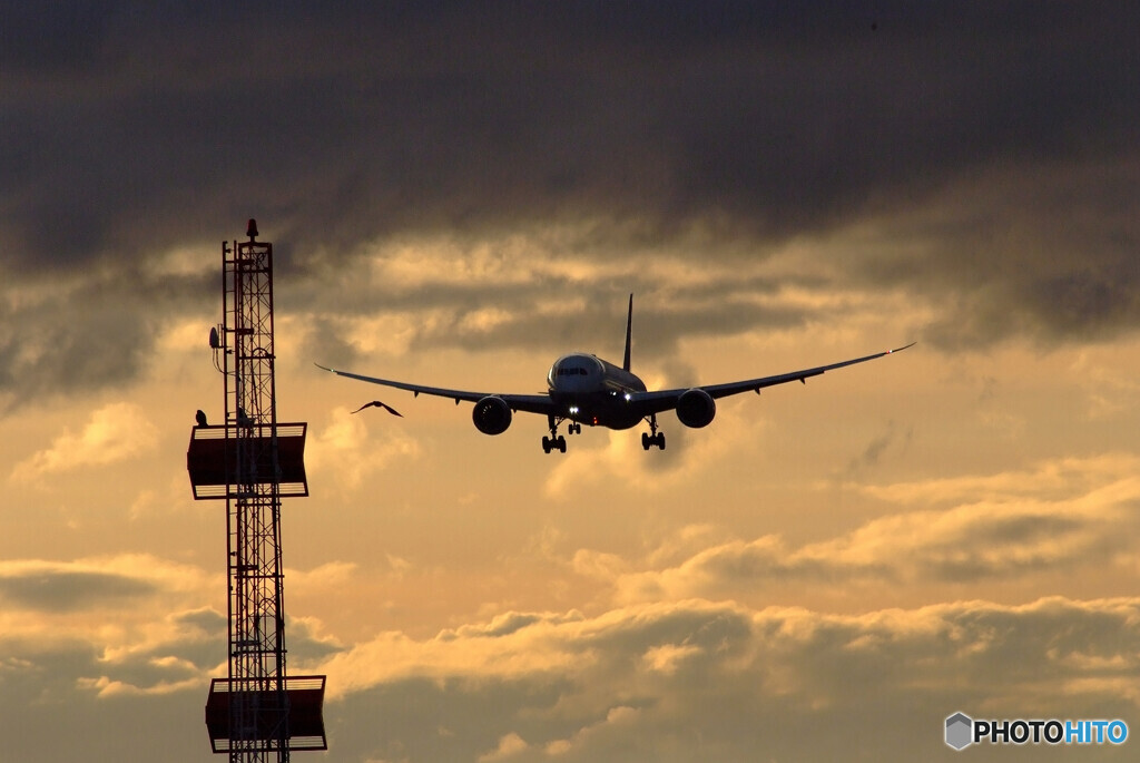 Airplane ParadiseⅩ✈2月の朝焼け