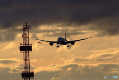 Airplane ParadiseⅩ✈2月の朝焼け