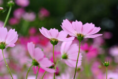 October Morning☂上がりの出会い