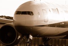 Light & Shadow・777