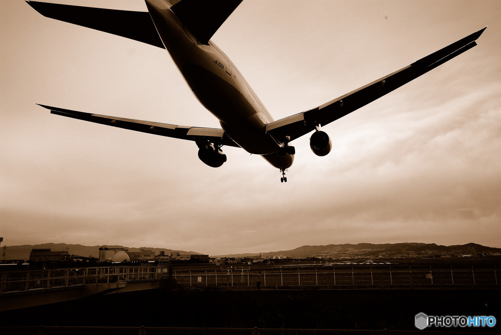 いつか君に追い風が・聖