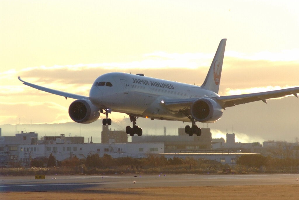 January morning2026✈Boeing787-8