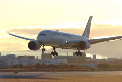 January morning2026✈Boeing787-8