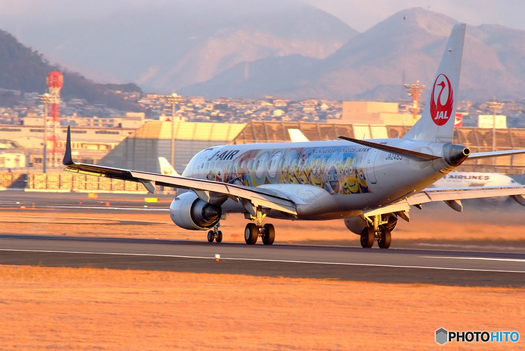 朝日に輝く・JA248J