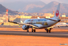 朝日に輝く・JA248J