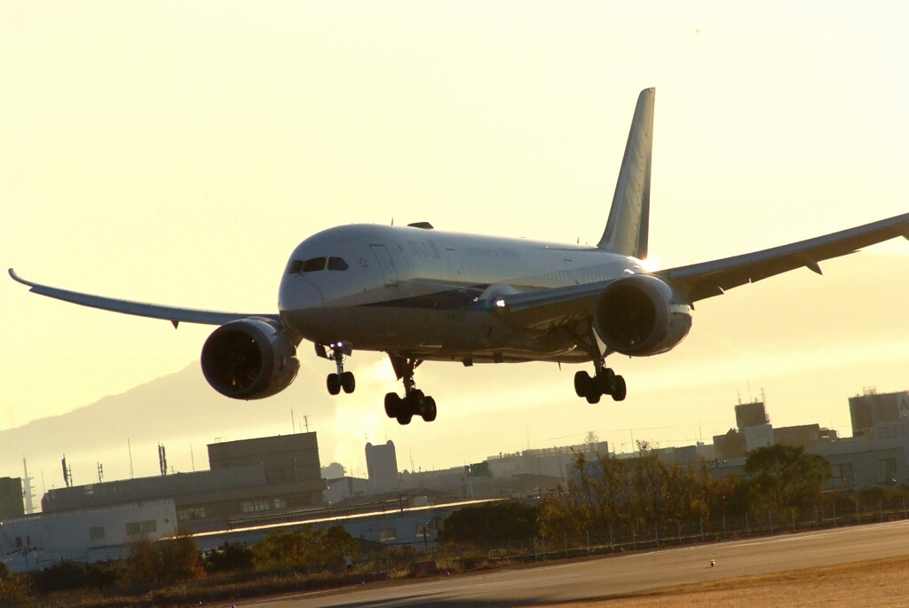 Brand new morning✈HARADA